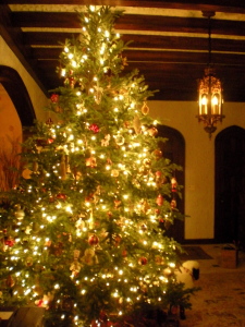the best christmas ever bVyG